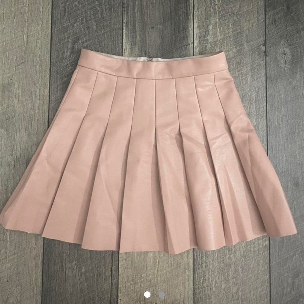 Aritzia skirt